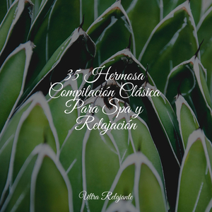 Paisajes De Ensueño De Flores