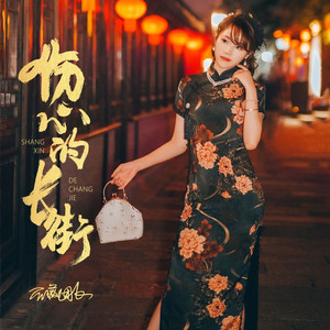 伤心的长街 (DJ默涵版)