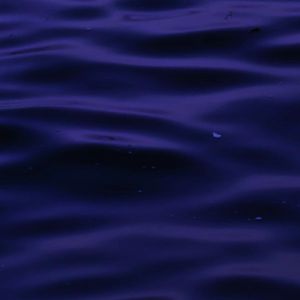 海