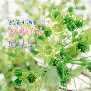 천사의 눈동자 (The eyes of the angel)