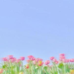 让我做你的眼睛