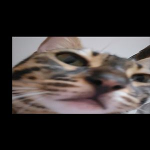 wole zarabiac pieniadze