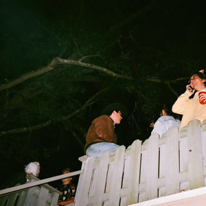 [birdsong]