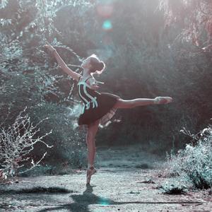 Waltz of the Old Memories (Original Motion Picture Soundtrack)