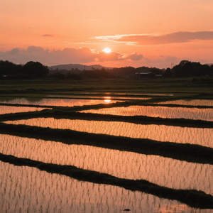 Losing Windows in the Harbor