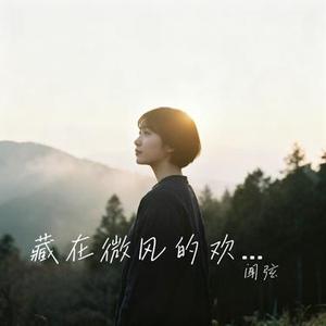 藏在微风的欢喜