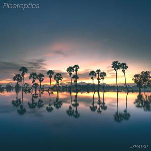 Fiberoptics