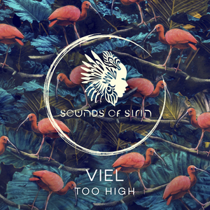 Too High (DIBIDABO Remix)