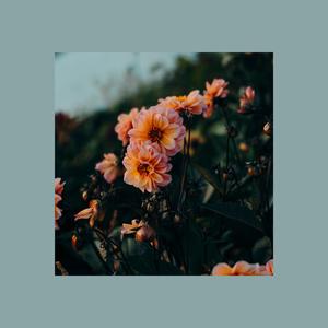 Daydreaming With You