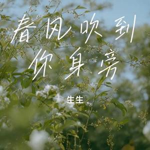 春风吹到你身旁