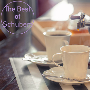 小夜曲 (森林版)