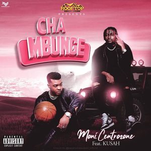 Cha Mbunge