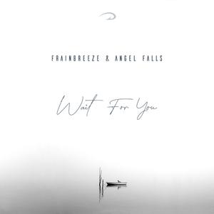 Wait For You (Original Mix)