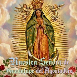 A Nuestra Señora de Guadalupe del Agostadero Raíz de Encino Bendita