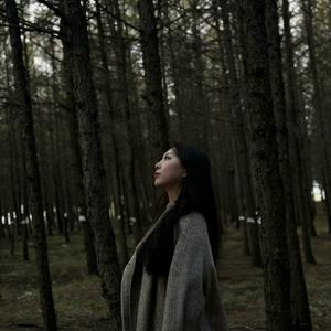 《消失》苏运莹 长笛版