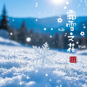 霜雪之花