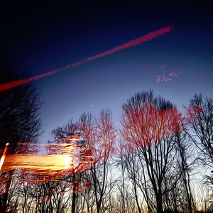 roll call (wishlane's version)