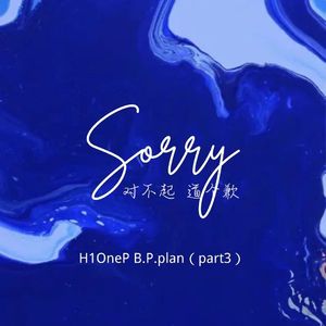 Sorry1.0