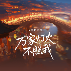 万家灯火不照我(DJ版)