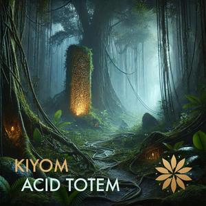 Acid Totem (Original Mix)
