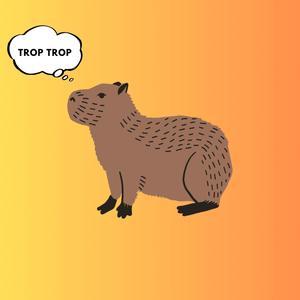 TROP TROP