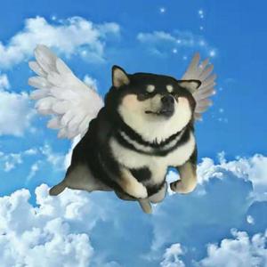 Red killer-小 人 物[prod.by red killer]（菜包弟弟皮皮猪 remix）