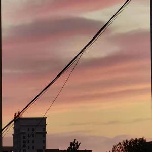 纯音乐zyc