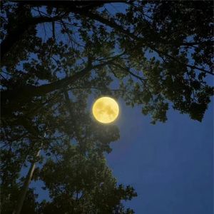 我现在去找你 (Prod.Eee.T x BickyBoy)