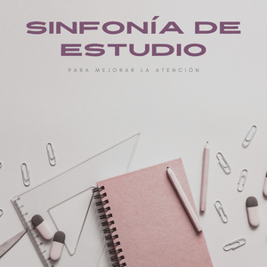 Satisfactoria Canción De Estudio