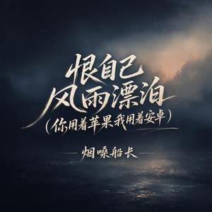 恨自己风雨漂泊