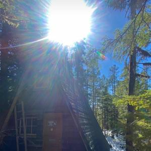 The Trips (feat. Krimson Graey)