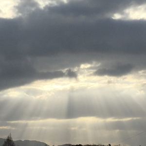 私を泣かせて下さい ヘンデル