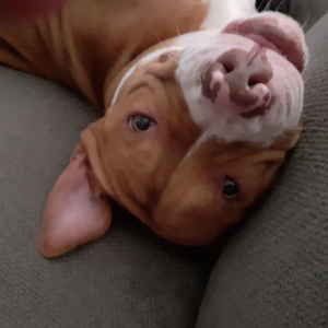 Better get your wings on