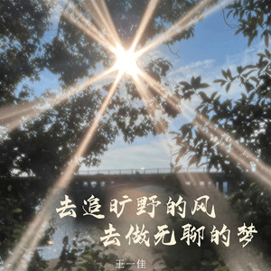 去追旷野的风 去做无聊的梦 (DJ阿谭版)