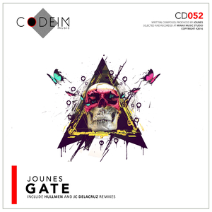 Gate (Original Mix)
