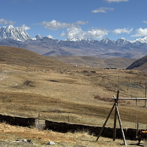 我们真的来过吗