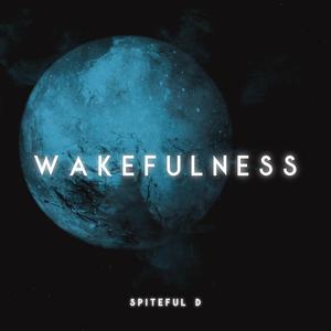 Wakefulness