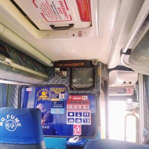 Future American Hero