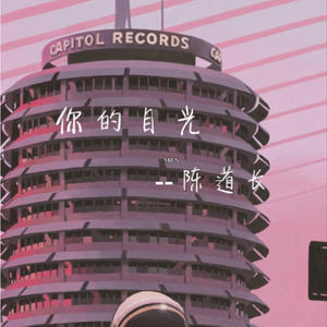 你的目光
