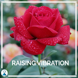 Raising Vibration