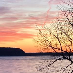 freeTo Explore The ?