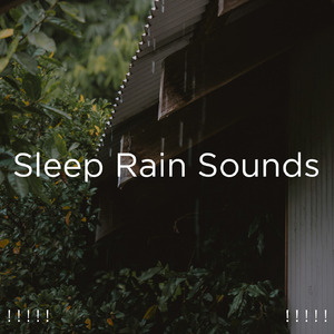 수면을위한 주변 소리