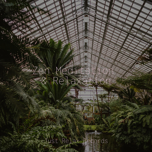 Joyful Harmonies Under Sunshine