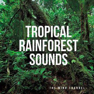 Tropical Jungle and Rainforest