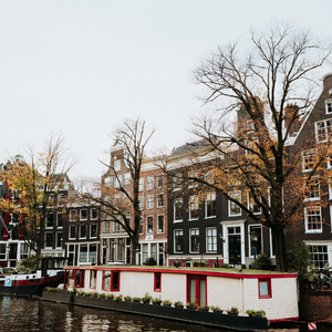 霓虹下的激情之舞