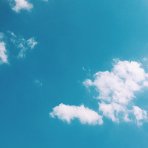 撒野（翻自 欸-61）