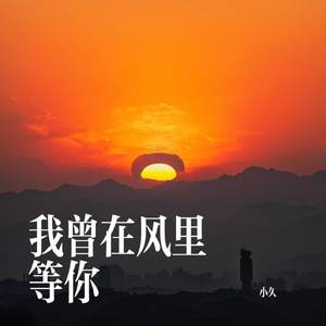 我曾在风里等你