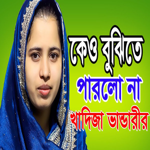 কেও বুঝিতে পারলো না