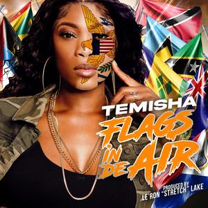 Flags In De Air