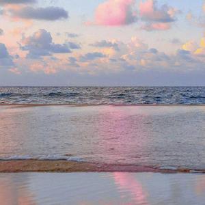 Butterfly（蝴蝶）